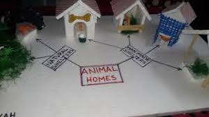 In this part, we will see the names for the homes of animals. Animal Homes For School Project Youtube