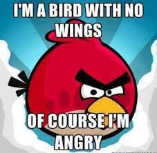 Angry Birds | Funny memes, Bones funny, Funny pictures