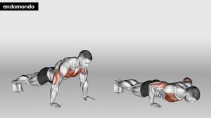 10 chest and arm workouts the ultimate