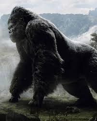 King kong is a film monster, resembling an enormous gorilla, that has appeared in various media since 1933. King Kong Gojipedia Fandom