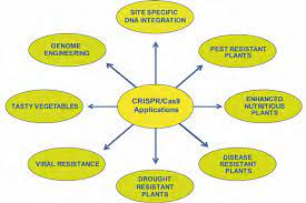 applications of crispr cas9 in