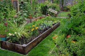 Build A Raised Bed In Your Garden