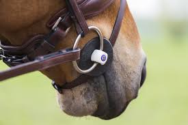 How To Find The Right Bit Size For Your Horse Trust