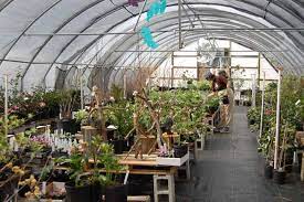 Gethsemane Gardens Nursery