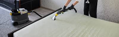 mattress dust mites treatment mattress