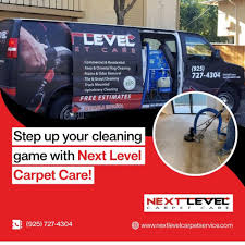 carpet cleaning near mountain house