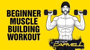 beginner home muscle building workout