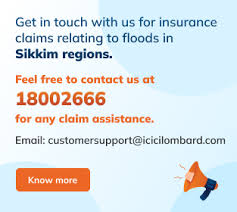 general insurance insurance