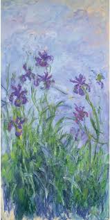 Pink Purple Irises 1911 101 201 Cm By