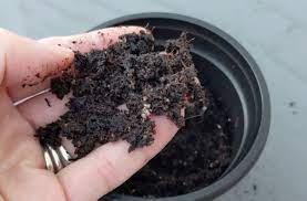 pro mix potting soil review vs