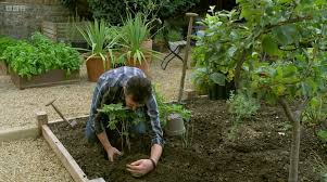 adam frost downsizes to small garden in