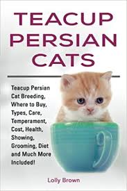 If you want your cats bouncing around like hyperactive popcorn, don't adopt a persian. Teacup Persian Cats Teacup Persian Cat Breeding Where To Buy Types Care Temperament Cost Health Showing Grooming Diet And Much More Included Amazon Co Uk Brown Lolly 9781941070864 Books