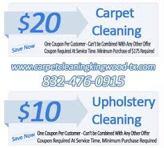 upholstery cleaning remove pet odors