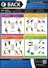 Medicine Ball Workout Professional Fitness Training Wall