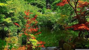 Autumn Zen Garden Hd Wallpaper