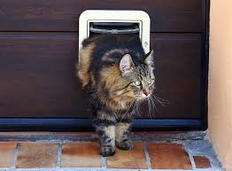 what does cat flap installation cost in