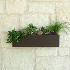 wall planter succulent wall planter