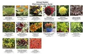 Available plants for usda plant hardiness zone 9. Annual Garden Rutgers Master Gardeners Of Mercer County
