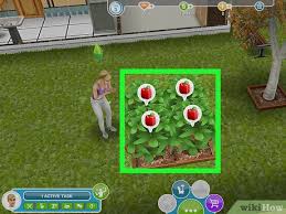 Money And Lp On The Sims Freeplay