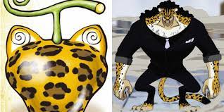 The Neko Neko no Mi, Model: Leopard, Explained