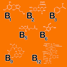 do b vitamins make you gain weight