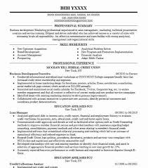 Business Development Executive Resume Example Akp Solutions