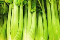 Where does Canada get its celery from?