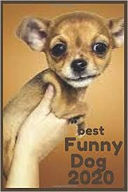 Dogs · 1 decade ago. Funny Dog Memes Collection In 2020 The Funniest Dog In The World For Relax Time The Good Book Has Nothing On The Memes Book 110 White Pages 6x9 Inches Amazon Co Uk Memes Funny Dog 9798631719408