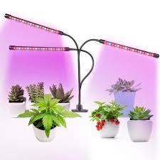 Grow Lights For Plants