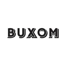 buxom cosmetics org chart teams