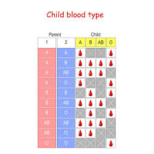 Child Blood Type Diagram Stock Vector Illustration Of