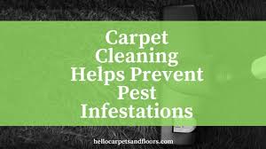 carpet cleaning helps prevent pest