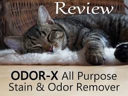 stain and odor remover review