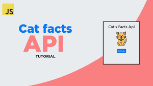 It has three related functions with regard to text files the cat command can also be used (depending on shell redirection feature) to create a new file and transfer to it the data from an existing file. Javascript Api Tutorial Cat Facts App With Fetch Api 2020 Youtube