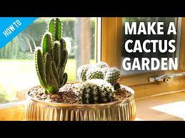 How To Make A Cactus Garden
