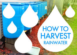harvest and harness rainwater