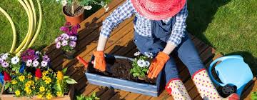 3 Tips For Beginner Gardeners