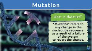 mutation definition and exles