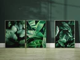 Set Of 3 Prints Botanical Wall Art
