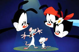 There are three main versions of the pinky and the brain theme song. K8xaiy9w5m3am