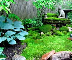 How To Create A Moss Garden Small