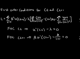 Euler Equation In Economics Deriving