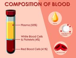 diagram showing composition of blood