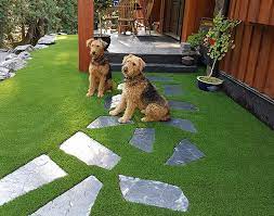 Fake Grass For Dogs Pet Grass Grass