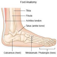 Bones break when something happens to crush, bend, twist, or if it hurts when you walk, put more weight on the crutches and less on your injured foot. Ankle Fracture What You Need To Know
