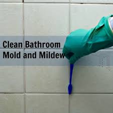 mold in bathroom cleaning shower tiles