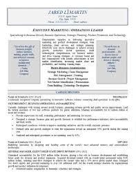 Resume Format For Sales And Marketing Manager   Free Resume     Professional CV Writing Services