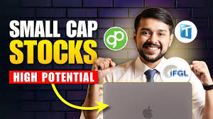 small cap stocks for long term best