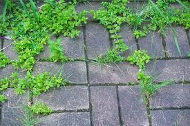How To Clean Paving Slabs A Complete
