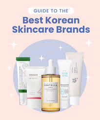 guide to best korean skincare brands umma
